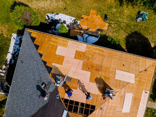 Best Commercial Roofing Services  in Madison, IL