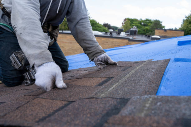 Best Commercial Roofing Services  in Madison, IL