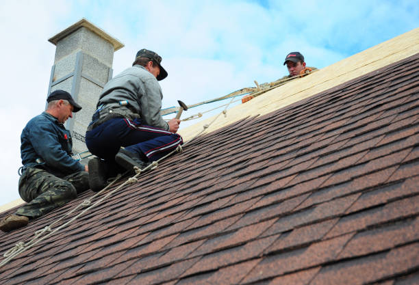 Best Gutter Installation and Roofing  in Madison, IL